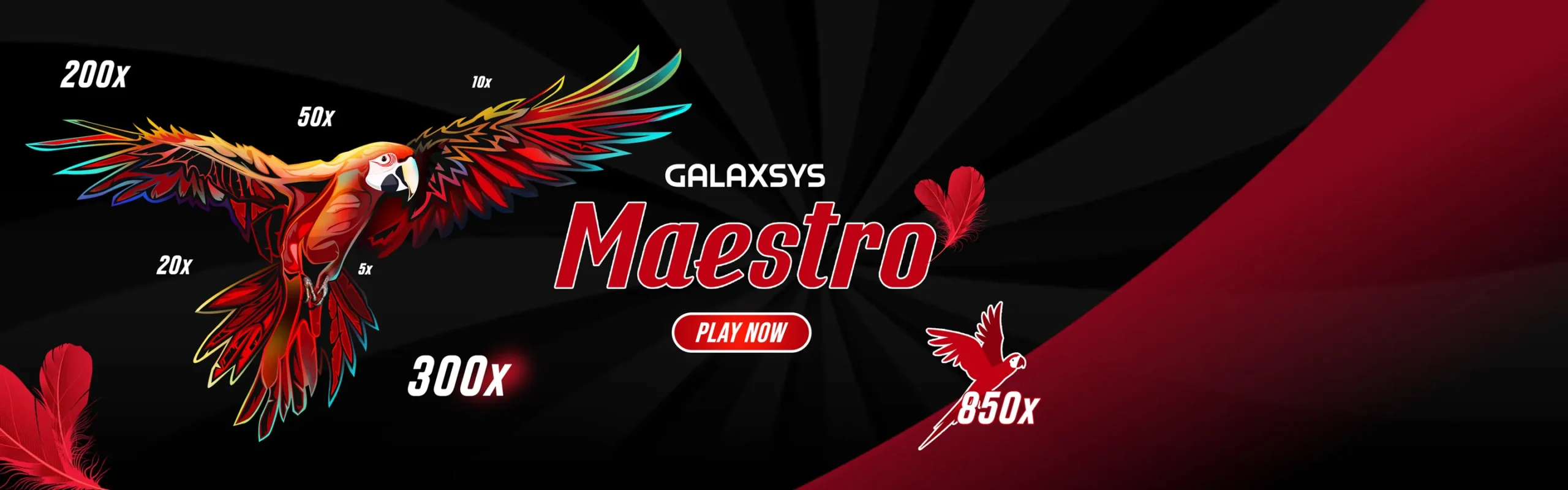 Maestro